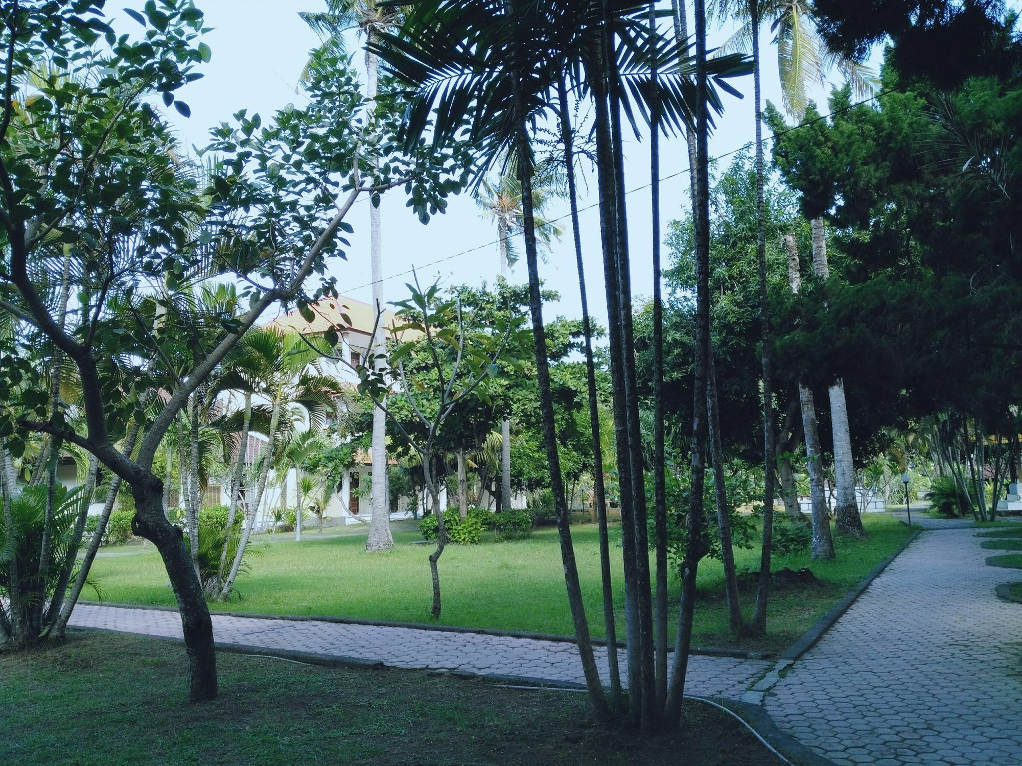 Mekar Jaya Bungalows Kuta Lombok Εξωτερικό φωτογραφία