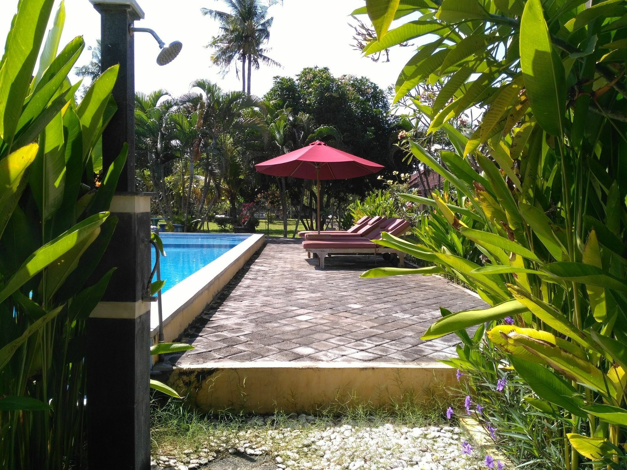 Mekar Jaya Bungalows Kuta Lombok Εξωτερικό φωτογραφία